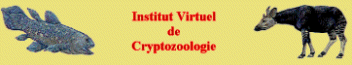 Visitez http://perso.wanadoo.fr/cryptozoo/