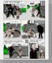 vers la page 02